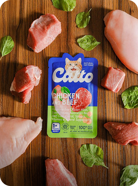 Sachet makanan kucing catto dikelilingi ayam, sapi, dan bayam — brand pet food klien Shopex